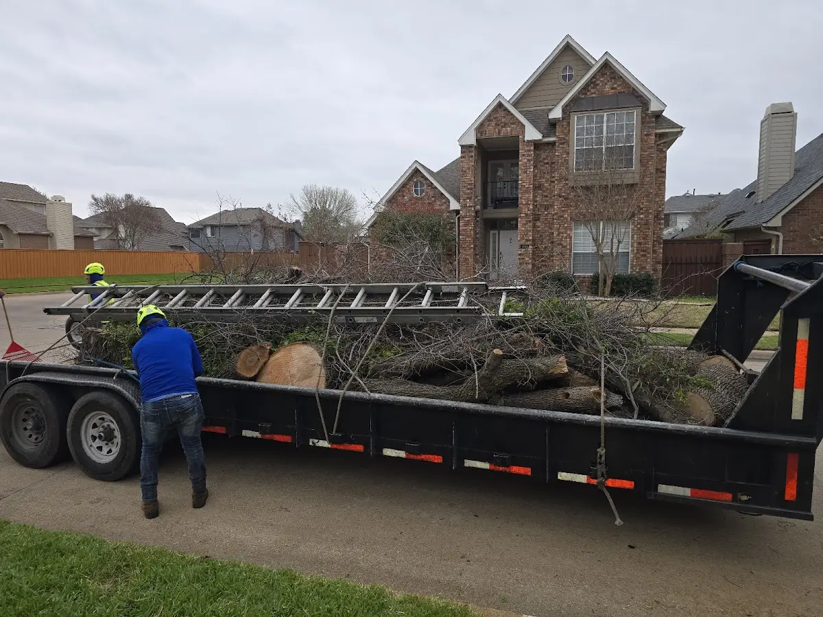 Expert Lot Clearing with proper safety equipment in Waller